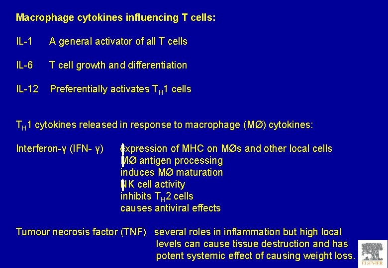 Macrophage cytokines influencing T cells: IL-1 A general activator of all T cells IL-6