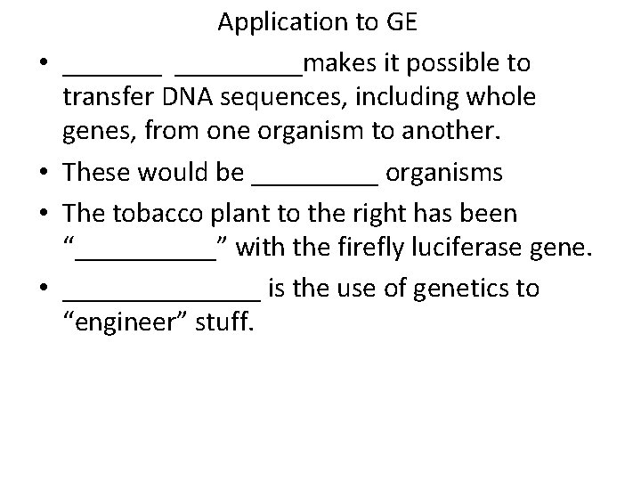  • • Application to GE _________makes it possible to transfer DNA sequences, including