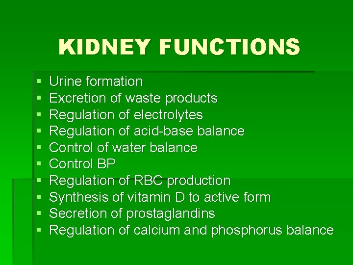 KIDNEY FUNCTIONS § § § § § Urine formation Excretion of waste products Regulation