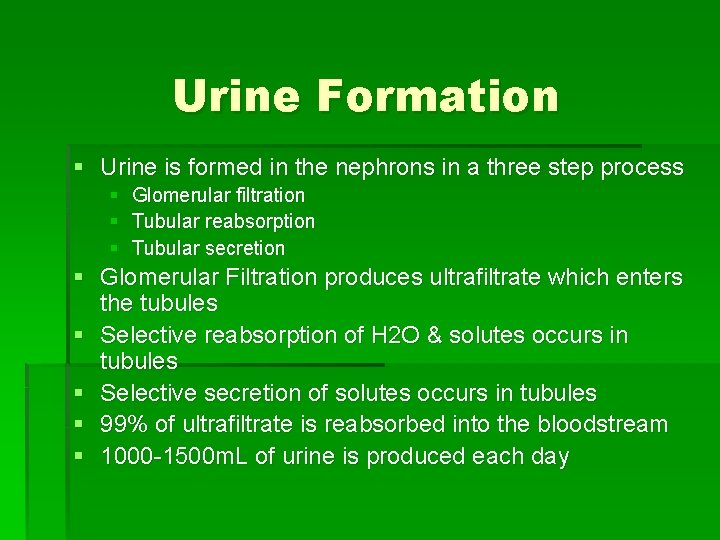 Urine Formation § Urine is formed in the nephrons in a three step process