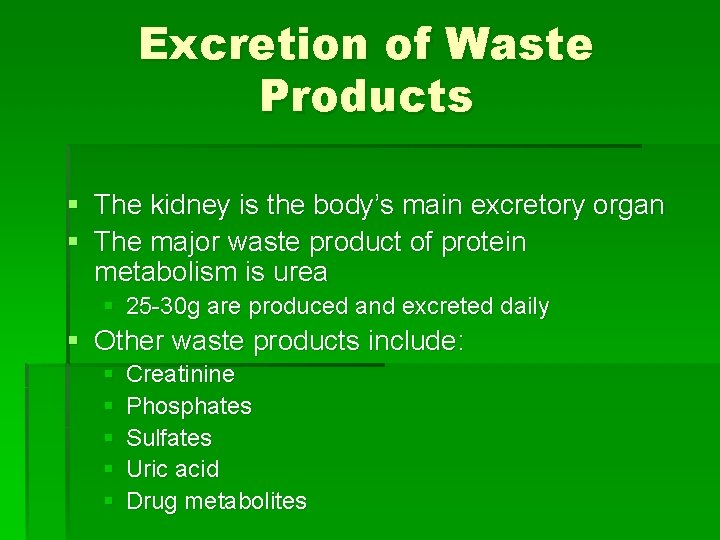 Excretion of Waste Products § The kidney is the body’s main excretory organ §