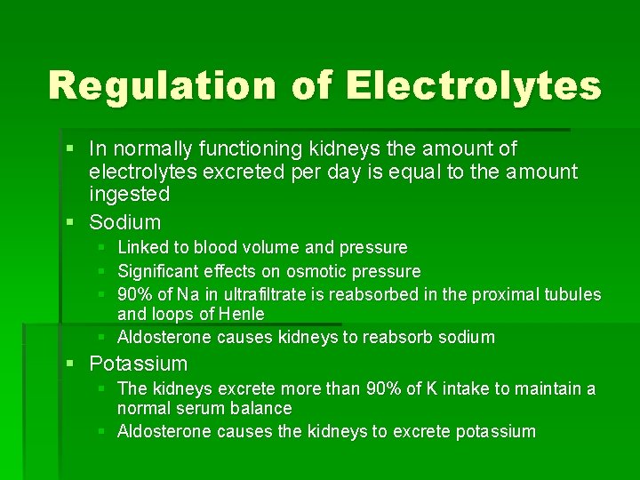 Regulation of Electrolytes § In normally functioning kidneys the amount of electrolytes excreted per