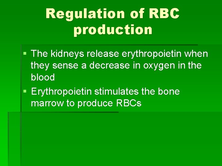 Regulation of RBC production § The kidneys release erythropoietin when they sense a decrease