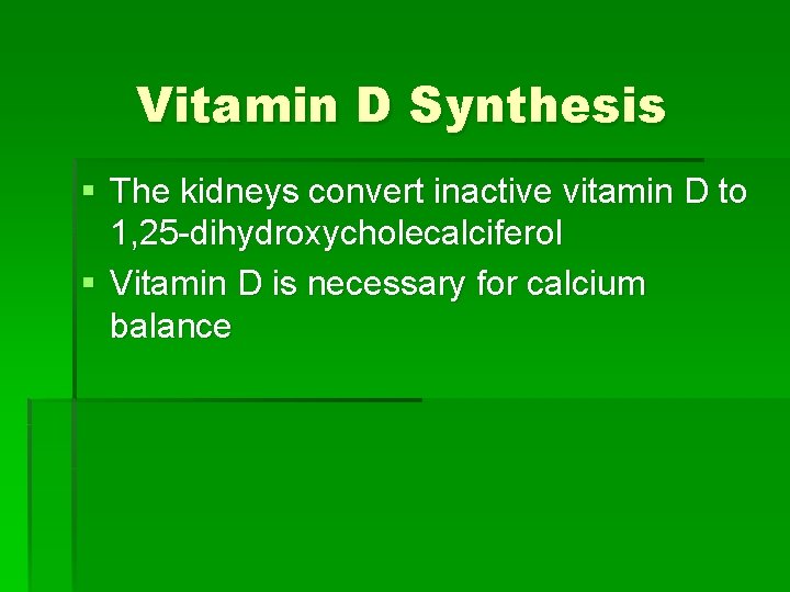 Vitamin D Synthesis § The kidneys convert inactive vitamin D to 1, 25 -dihydroxycholecalciferol