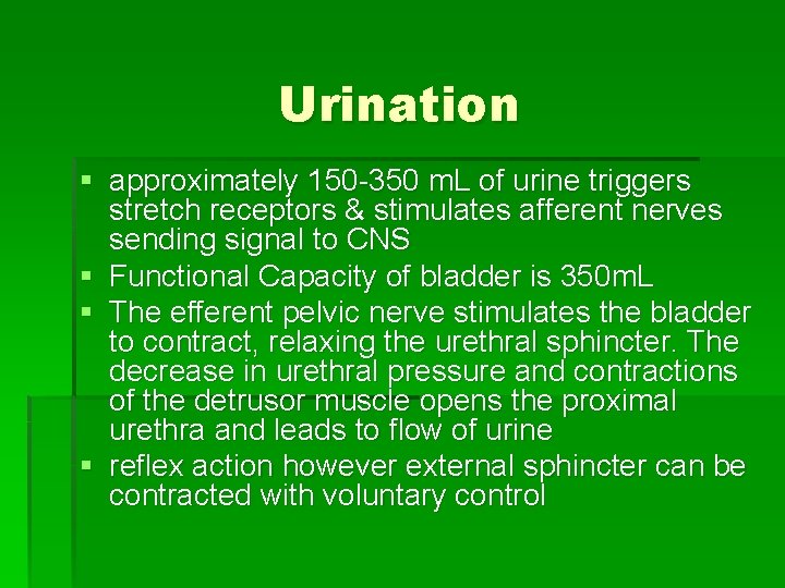 Urination § approximately 150 -350 m. L of urine triggers stretch receptors & stimulates