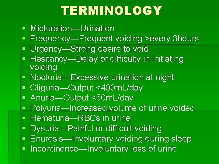 TERMINOLOGY § § § Micturation—Urination Frequency—Frequent voiding >every 3 hours Urgency—Strong desire to void