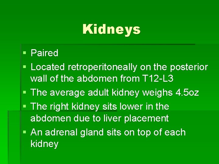 Kidneys § Paired § Located retroperitoneally on the posterior wall of the abdomen from