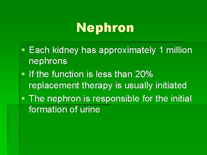 Nephron § Each kidney has approximately 1 million nephrons § If the function is