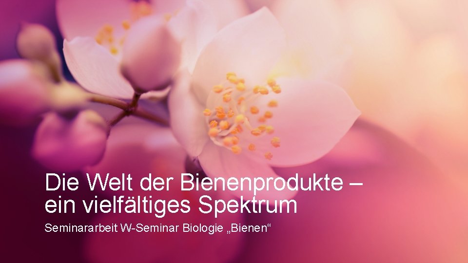 Die Welt der Bienenprodukte – ein vielfältiges Spektrum Seminararbeit W-Seminar Biologie „Bienen“ 