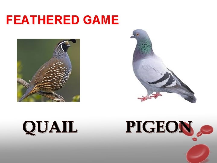 MEAT Grade 12 BASELINE ASSESSMENT 1 What is