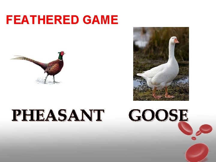 MEAT Grade 12 BASELINE ASSESSMENT 1 What is