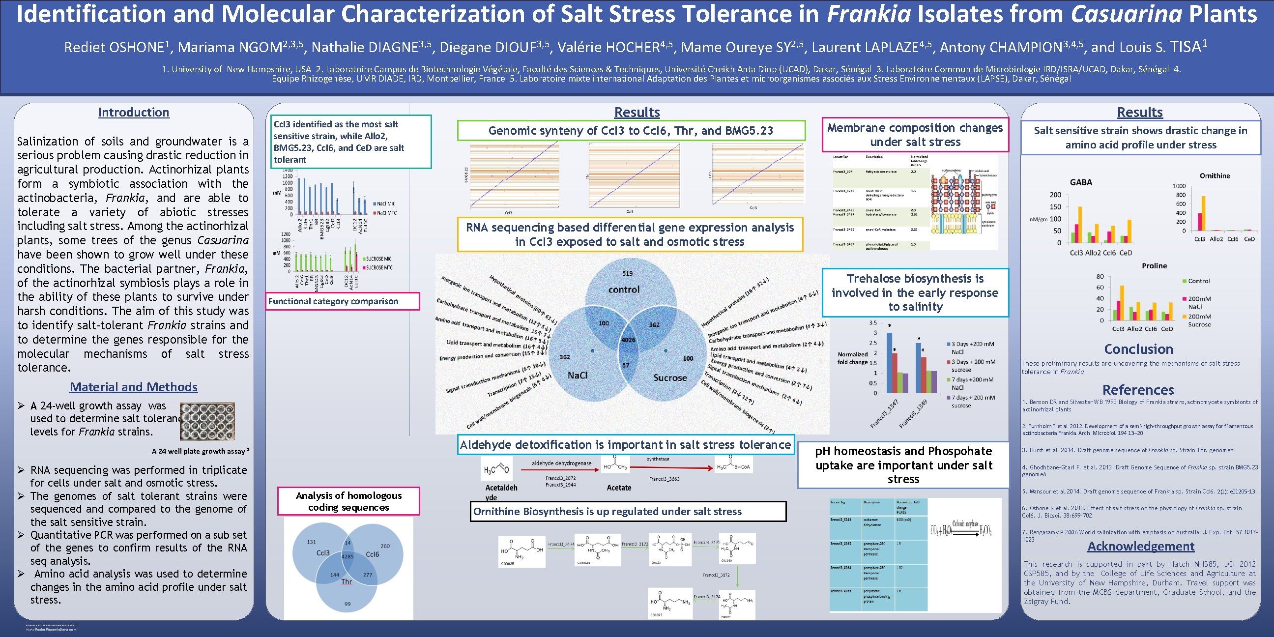 Identification and Molecular Characterization of Salt Stress Tolerance