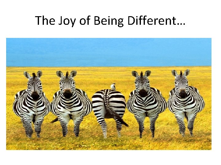 The Joy of Being Different… 