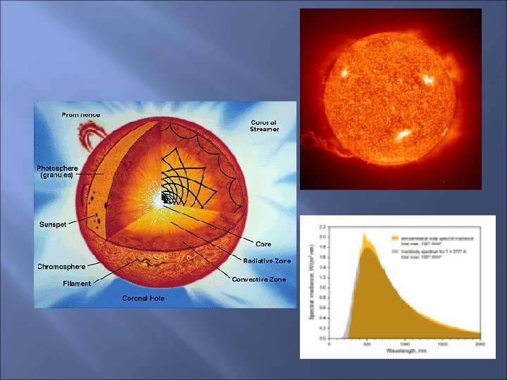 OUR SUN AND SOLAR SYSTEM The neighborhood where