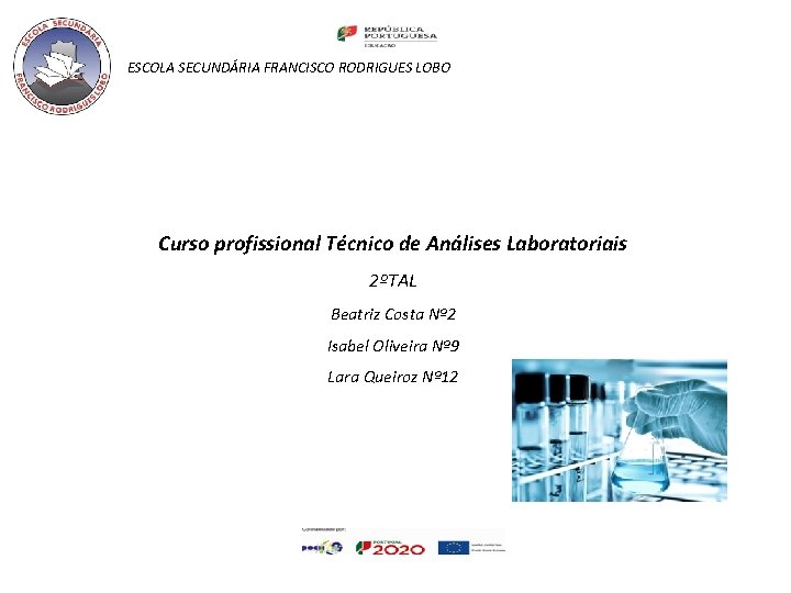 ESCOLA SECUNDÁRIA FRANCISCO RODRIGUES LOBO Curso profissional Técnico de Análises Laboratoriais 2ºTAL Beatriz Costa