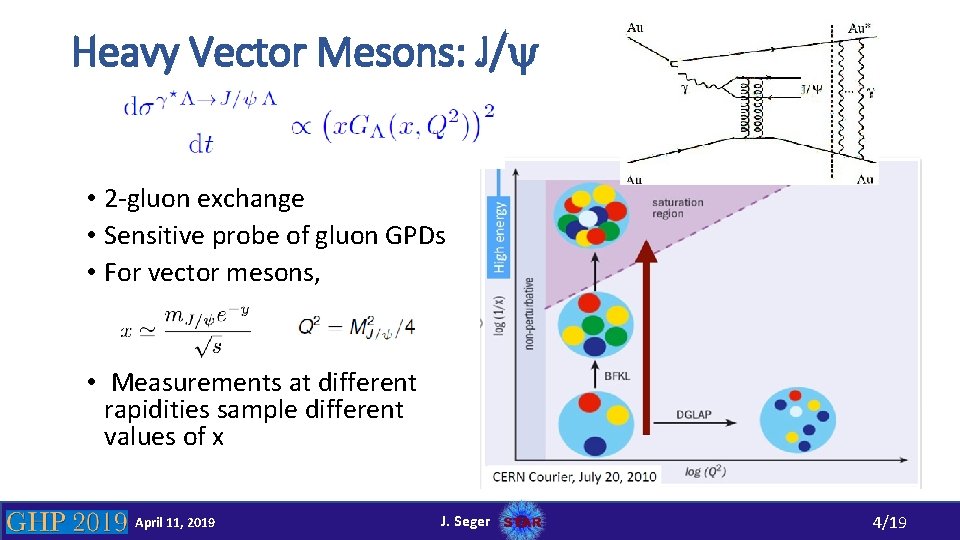 Heavy Vector Mesons: J/y • 2 -gluon exchange • Sensitive probe of gluon GPDs