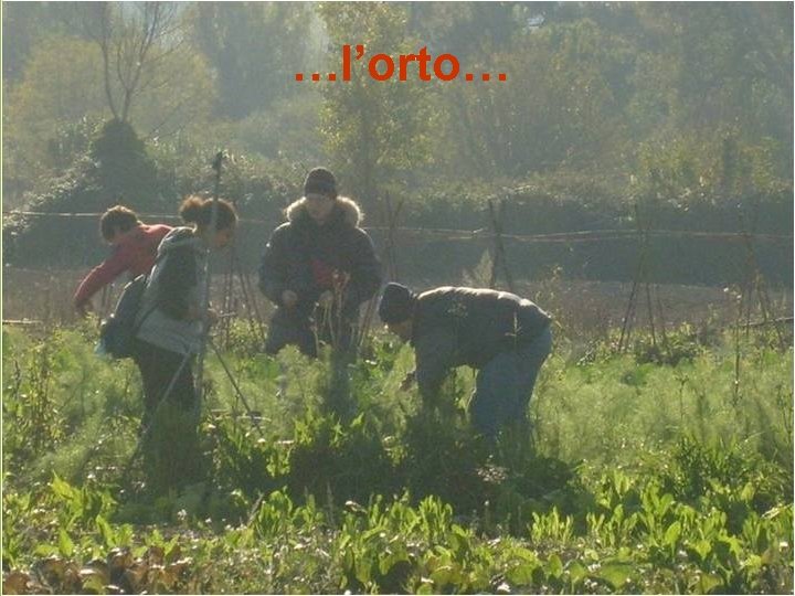 …l’orto… 