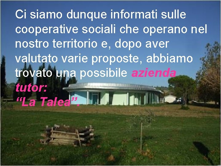 Ci siamo dunque informati sulle cooperative sociali che operano nel nostro territorio e, dopo