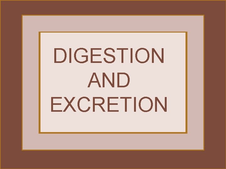 DIGESTION AND EXCRETION 