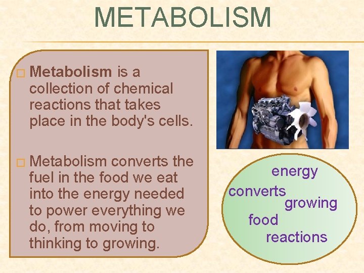 METABOLISM � Metabolism is a collection of chemical reactions that takes place in the