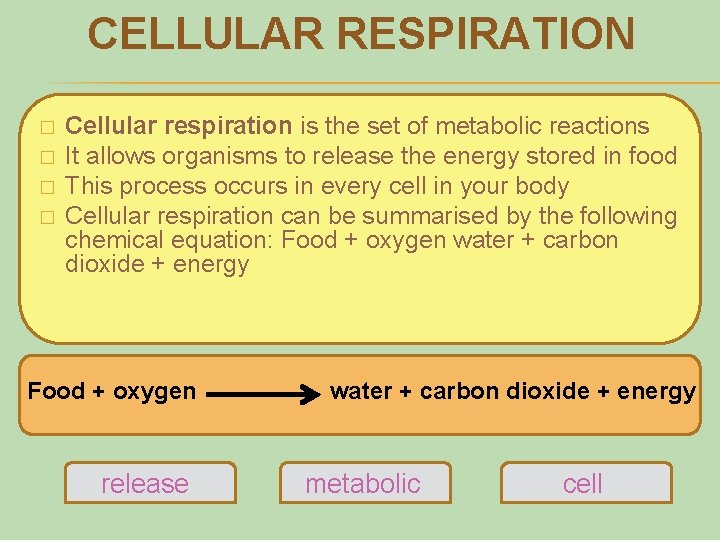 CELLULAR RESPIRATION � � Cellular respiration is the set of metabolic reactions It allows