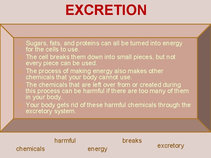 EXCRETION � � � Sugars, fats, and proteins can all be turned into energy