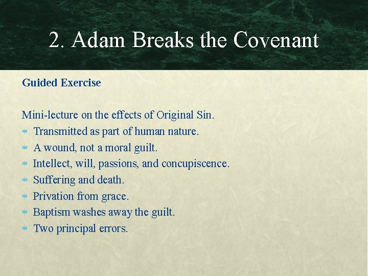 2. Adam Breaks the Covenant Guided Exercise Mini-lecture on the effects of Original Sin.