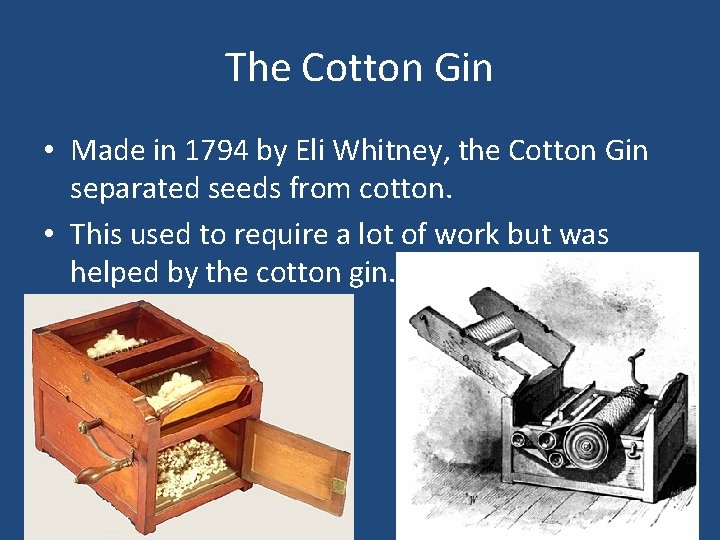 The Cotton Gin • Made in 1794 by Eli Whitney, the Cotton Gin separated