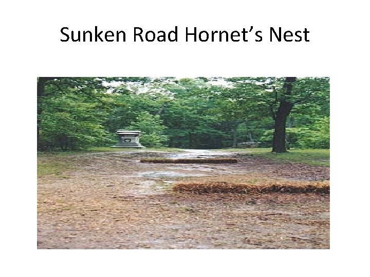 Sunken Road Hornet’s Nest 