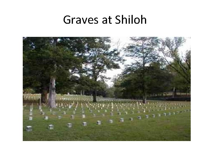 Graves at Shiloh 