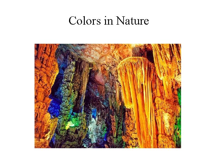 Colors in Nature 