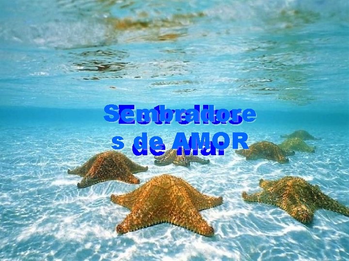 Sembradore Estrellas s de de AMOR Mar 