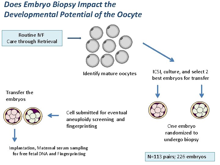 Does Embryo Biopsy Impact the Developmental Potential of the Oocyte Routine IVF Care through