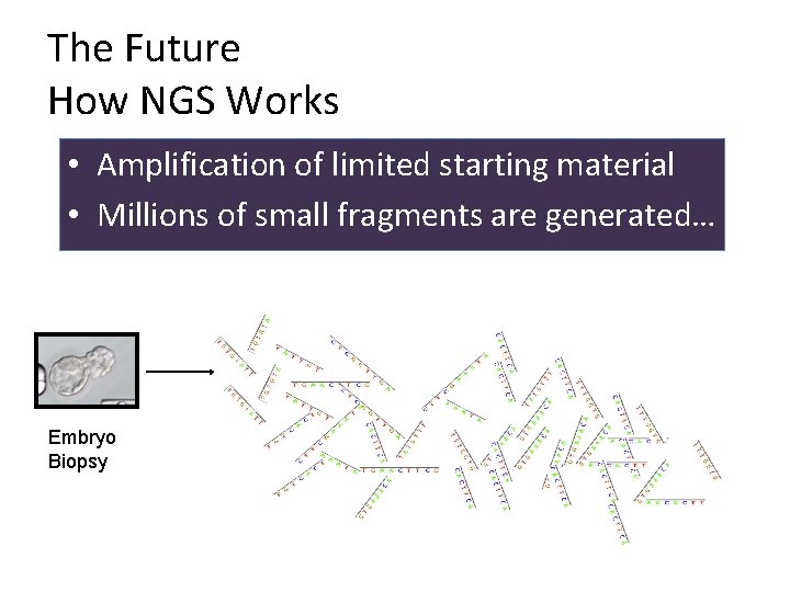 The Future How NGS Works • Amplification of limited starting material • Millions of