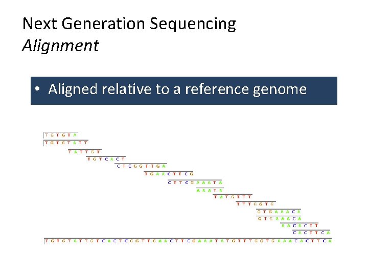 Next Generation Sequencing Alignment • Aligned relative to a reference genome 