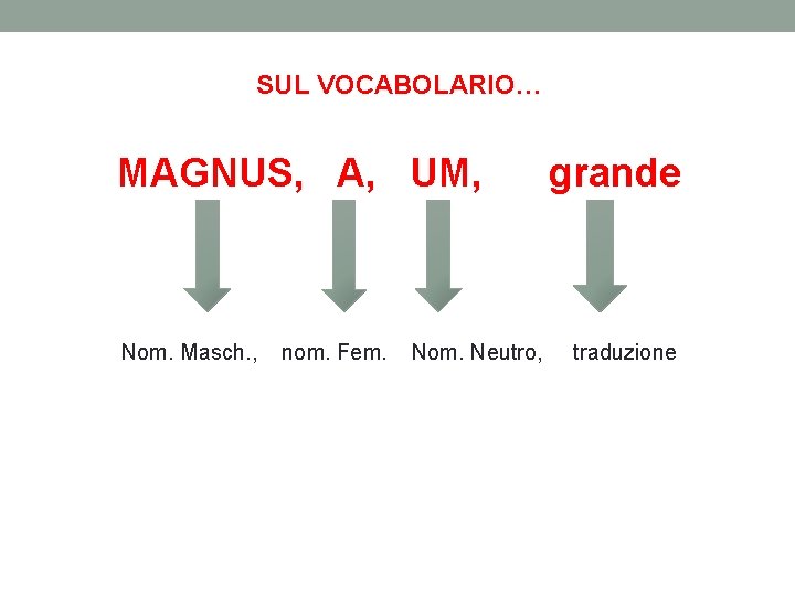 SUL VOCABOLARIO… MAGNUS, A, UM, Nom. Masch. , nom. Fem. Nom. Neutro, grande traduzione