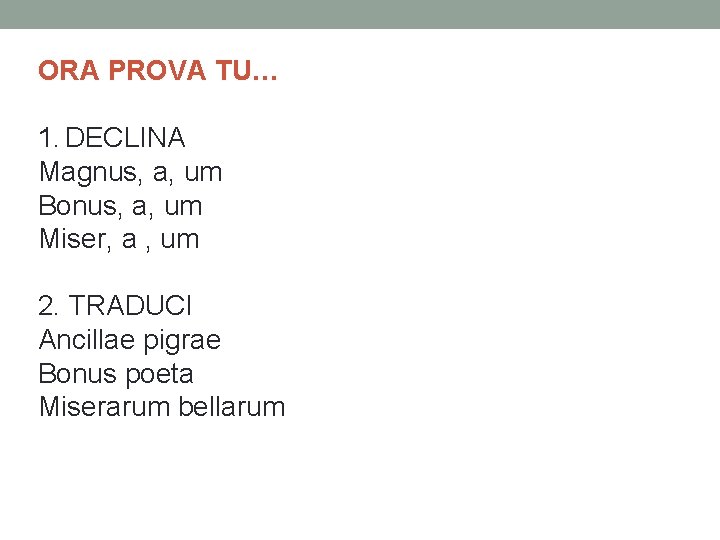 ORA PROVA TU… 1. DECLINA Magnus, a, um Bonus, a, um Miser, a ,