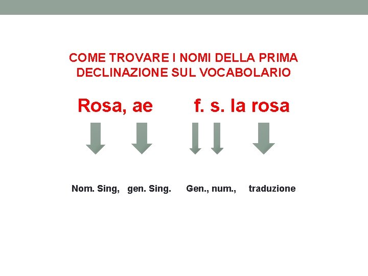 COME TROVARE I NOMI DELLA PRIMA DECLINAZIONE SUL VOCABOLARIO Rosa, ae Nom. Sing, gen.