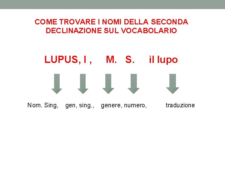 COME TROVARE I NOMI DELLA SECONDA DECLINAZIONE SUL VOCABOLARIO LUPUS, I , Nom. Sing,