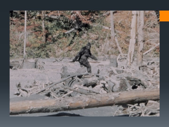 Occam’s razor Occam’s razor