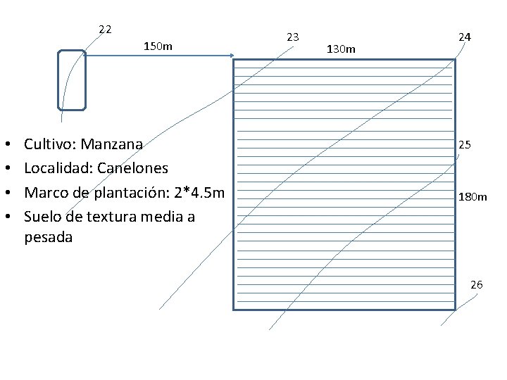 22 150 m • • Cultivo: Manzana Localidad: Canelones Marco de plantación: 2*4. 5