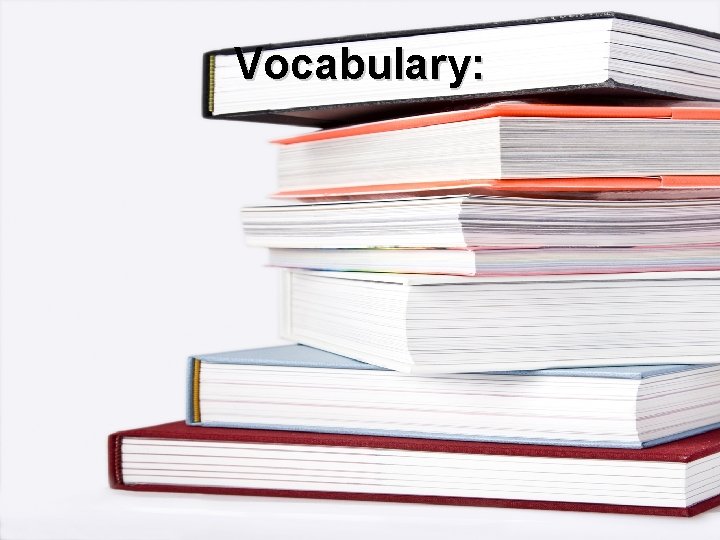 Vocabulary: 