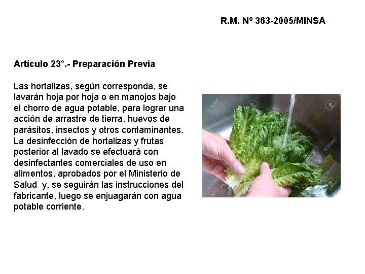 R. M. Nº 363 -2005/MINSA Artículo 23°. - Preparación Previa Las hortalizas, según corresponda, R. M. Nº 363 -2005/MINSA Artículo 23°. - Preparación Previa Las hortalizas, según corresponda,