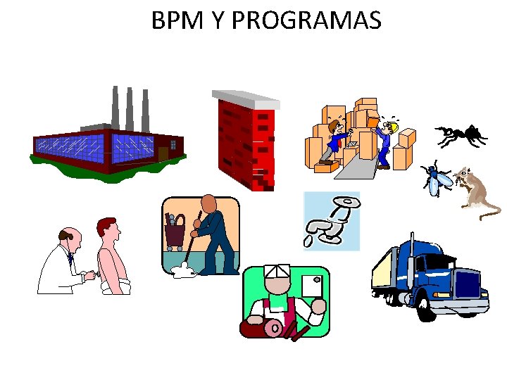 BPM Y PROGRAMAS BPM Y PROGRAMAS