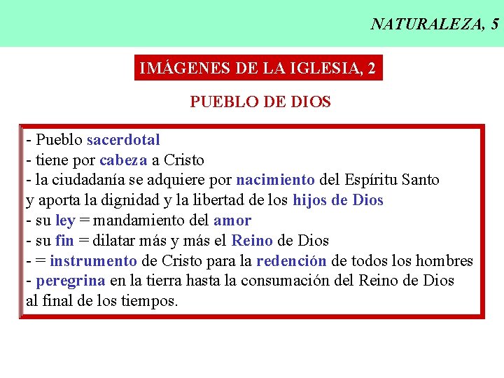 NATURALEZA, 5 IMÁGENES DE LA IGLESIA, 2 PUEBLO DE DIOS - Pueblo sacerdotal -