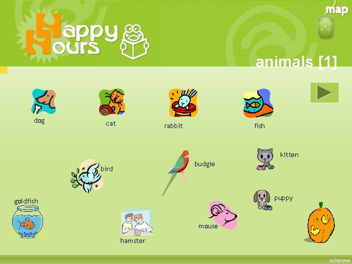 map animals [1] dog cat rabbit fish kitten budgie bird puppy goldfish mouse hamster