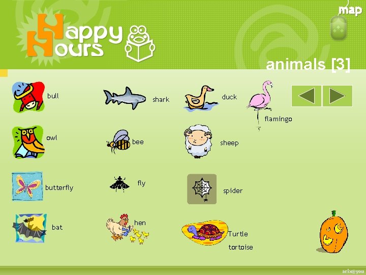 map animals [3] bull shark duck flamingo owl butterfly bat bee fly sheep spider