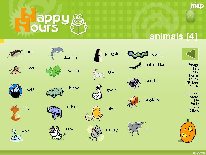 map animals [4] ant dolphin snail penguin worm caterpillar whale goat beetle wolf hippo