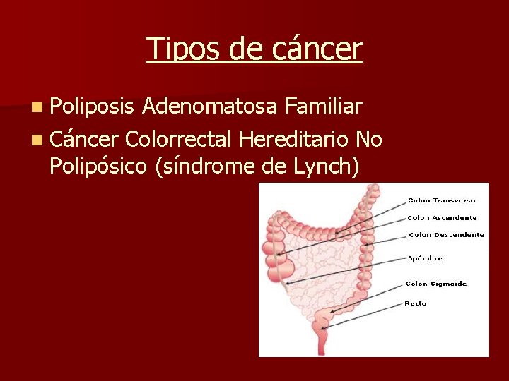 Tipos de cáncer n Poliposis Adenomatosa Familiar n Cáncer Colorrectal Hereditario No Polipósico (síndrome