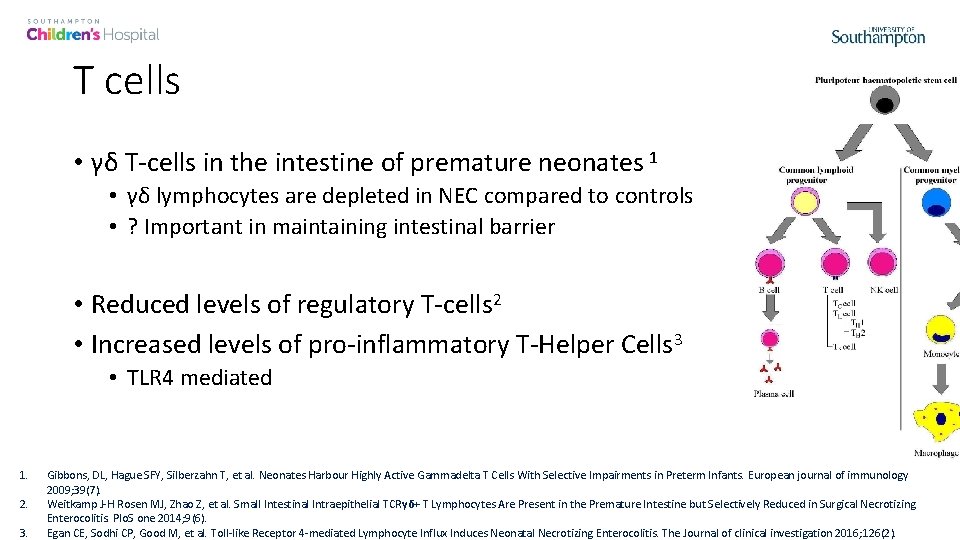 T cells • γδ T-cells in the intestine of premature neonates 1 • γδ